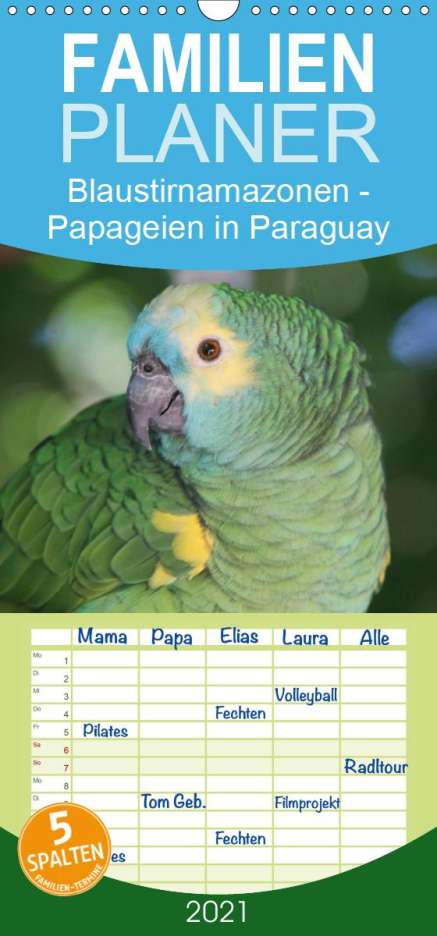 Bettina Schneider: Schneider, B: Blaustirnamazonen - Papageien in Paraguay - Fa, Kalender