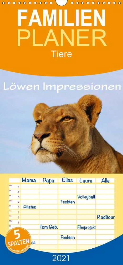 Anke van Wyk: Wyk, A: Löwen Impressionen - Familienplaner hoch (Wandkalend, Kalender