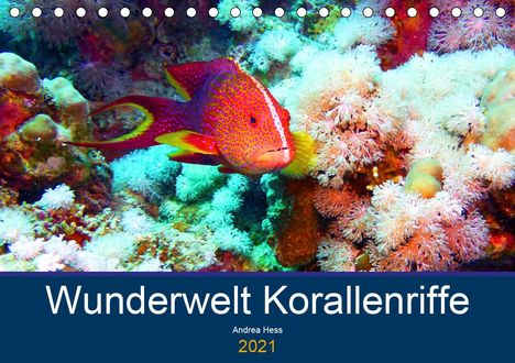 Andrea Hess: Hess, A: Wunderwelt Korallenriffe (Tischkalender 2021 DIN A5, Kalender