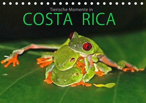 Michael Matziol: Matziol, M: COSTA RICA - Tierische Momente (Tischkalender 20, Kalender