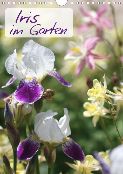 Gisela Kruse: Kruse, G: Iris im Garten (Wandkalender 2021 DIN A4 hoch), Kalender