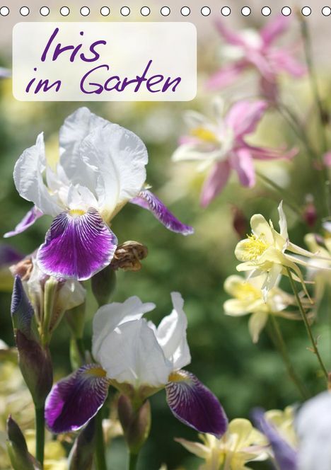 Gisela Kruse: Kruse, G: Iris im Garten (Tischkalender 2021 DIN A5 hoch), Kalender