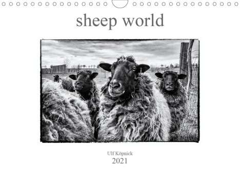 Ulf Köpnick: Köpnick, U: sheep world (Wandkalender 2021 DIN A4 quer), Kalender