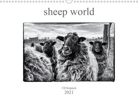 Ulf Köpnick: Köpnick, U: sheep world (Wandkalender 2021 DIN A3 quer), Kalender