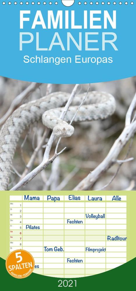 Michael Wilms: Wilms, M: Schlangen Europas - Familienplaner hoch (Wandkalen, Kalender