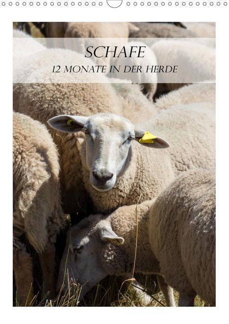Stefanie Und Philipp Kellmann: Und Philipp Kellmann, S: Schafe - 12 Monate in der Herde (Wa, Kalender