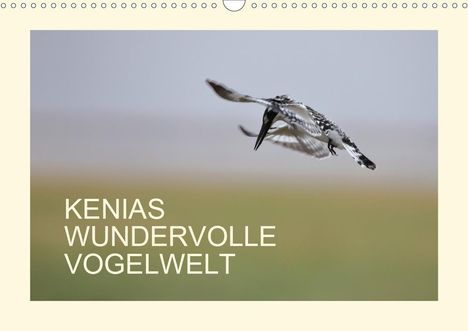 Andreas Demel: Demel, A: Kenias wundervolle Vogelwelt (Wandkalender 2021 DI, Kalender