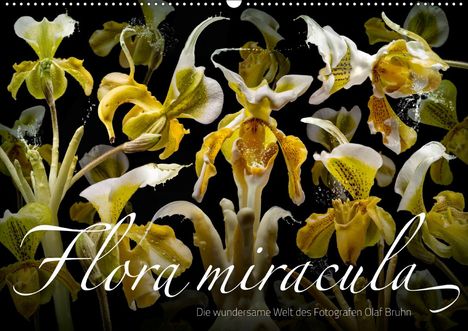 Olaf Bruhn: Bruhn, O: Flora miracula - Die wundersame Welt des Fotografe, Kalender