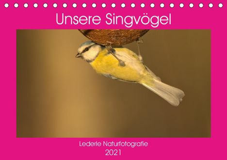 Kevin Andreas Lederle: Andreas Lederle, K: Unsere Singvögel (Tischkalender 2021 DIN, Kalender