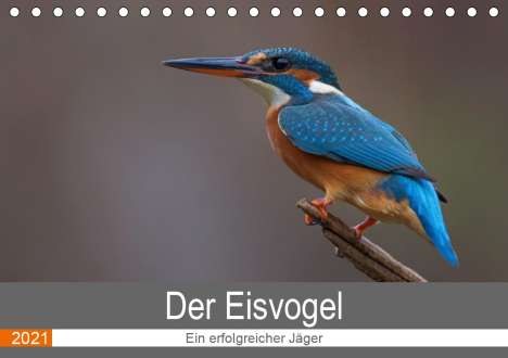 Wiking Dürre: Dürre, W: Eisvogel - Ein erfolgreicher Jäger (Tischkalender, Kalender
