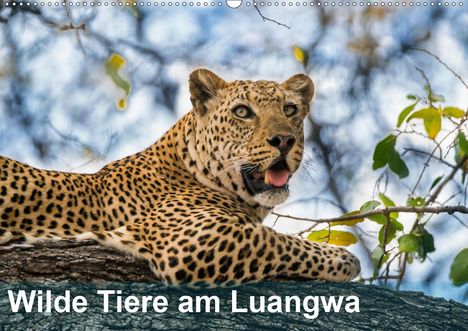 Bruno Pohl: Pohl, B: Wilde Tiere am Luangwa (Wandkalender 2021 DIN A2 qu, Kalender