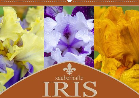 Steffen Gierok: Gierok, S: Zauberhafte Iris (Wandkalender 2021 DIN A2 quer), Kalender