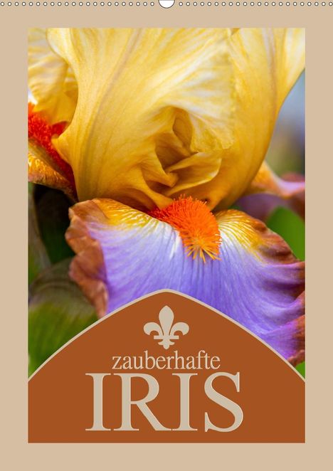 Steffen Gierok: Gierok, S: Zauberhafte Iris (Wandkalender 2021 DIN A2 hoch), Kalender