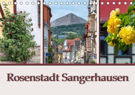 Steffen Gierok: Gierok, S: Rosenstadt Sangerhausen (Tischkalender 2021 DIN A, Kalender