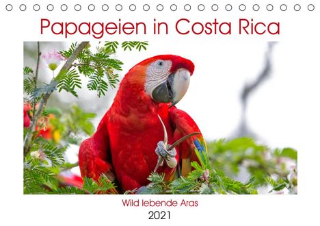 K. A. Akrema-Photography: Akrema-Photography, K: Papageien in Costa Rica (Tischkalende, Kalender