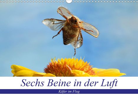 André Skonieczny: Skonieczny, A: Sechs Beine in der Luft - Käfer im Flug (Wand, Kalender