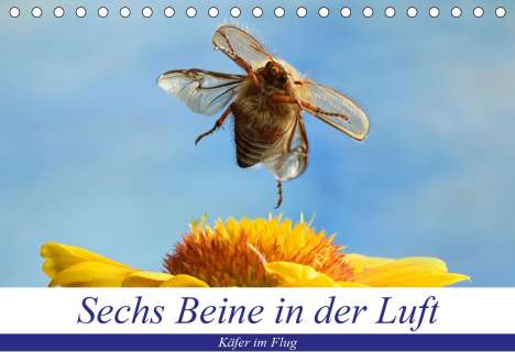 André Skonieczny: Skonieczny, A: Sechs Beine in der Luft - Käfer im Flug (Tisc, Kalender