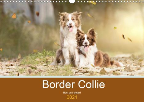 Andrea Mayer Tierfotografie: Mayer Tierfotografie, A: Border Collie - Bunt und clever! (W, Kalender