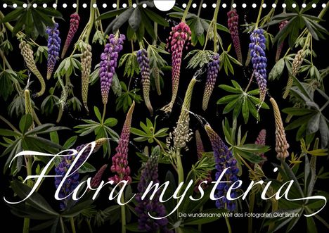 Olaf Bruhn: Bruhn, O: Flora mysteria - Die wundersame Welt des Fotografe, Kalender