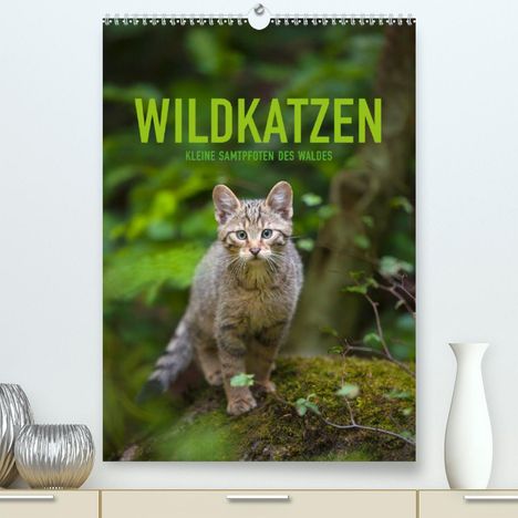 Christina Krutz: Krutz, C: Wildkatzen - Kleine Samtpfoten des Waldes (Premium, Kalender