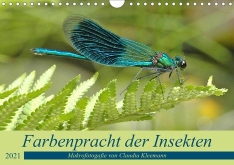 Claudia Kleemann: Kleemann, C: Farbenpracht der Insekten (Wandkalender 2021 DI, Kalender
