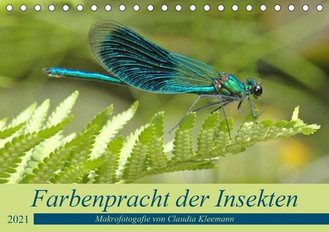 Claudia Kleemann: Kleemann, C: Farbenpracht der Insekten (Tischkalender 2021 D, Kalender