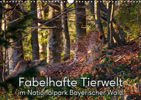 Christian Haidl: Haidl, C: Fabelhafte Tierwelt im Nationalpark Bayerischer Wa, Kalender