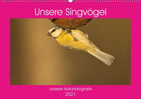 Kevin Andreas Lederle: Andreas Lederle, K: Unsere Singvögel (Wandkalender 2021 DIN, Kalender