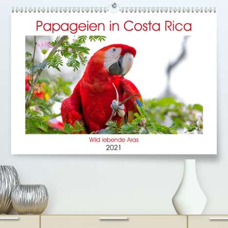 K. A. Akrema-Photography: Akrema-Photography, K: Papageien in Costa Rica (Premium, hoc, Kalender
