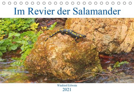 Winfried Erlwein: Erlwein, W: Im Revier der Salamander (Tischkalender 2021 DIN, Kalender