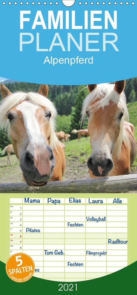 Katrin Lantzsch: Lantzsch, K: Alpenpferde - Familienplaner hoch (Wandkalender, Kalender