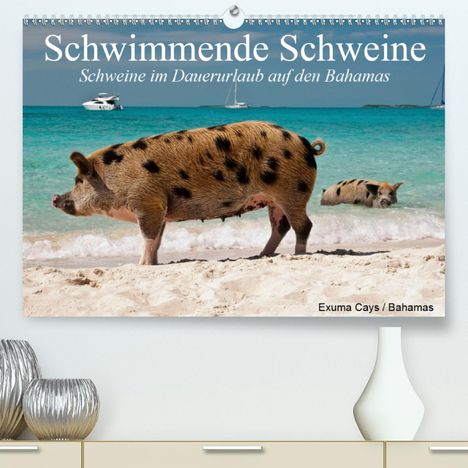 Elisabeth Stanzer: Stanzer, E: Schwimmende Schweine (Premium, hochwertiger DIN, Kalender