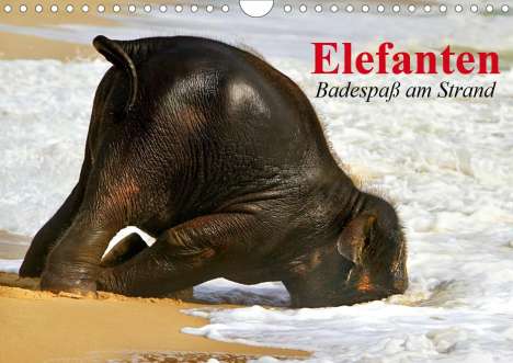 Elisabeth Stanzer: Stanzer, E: Elefanten. Badespaß am Strand (Wandkalender 2021, Kalender