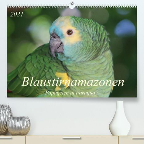 Bettina Schneider: Schneider, B: Blaustirnamazonen - Papageien in Paraguay (Pre, Kalender