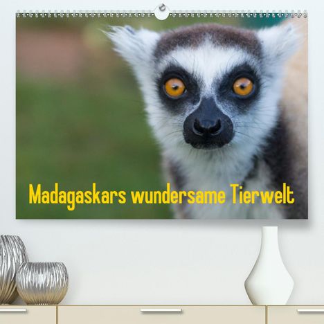 Antje Hopfmann: Hopfmann, A: Madagaskars wundersame Tierwelt (Premium, hochw, Kalender