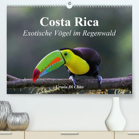 Ursula Di Chito: Di Chito, U: Costa Rica - Exotische Vögel im Regenwald (Prem, Kalender