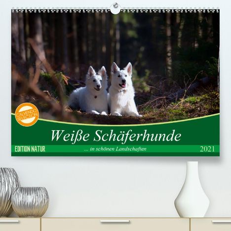 Martina Schikore: Schikore, M: Weiße Schäferhunde in schönen Landschaften (Pre, Kalender
