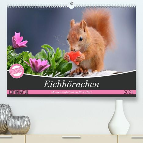 Tine Meier: Meier, T: Eichhörnchen Momentaufnahmen fürs Herz (Premium, h, Kalender