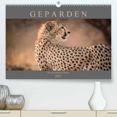 Markus Pavlowsky: Pavlowsky, M: Geparden - Die Schönheiten Afrikas (Premium, h, Kalender