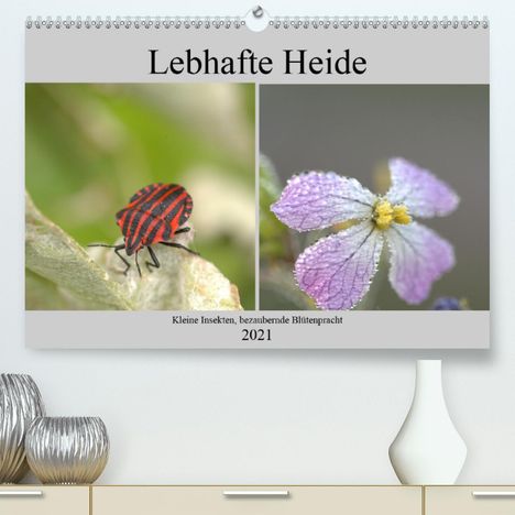 Kevin Andreas Lederle: Andreas Lederle, K: Lebhafte Heide - Kleine Insekten, bezaub, Kalender