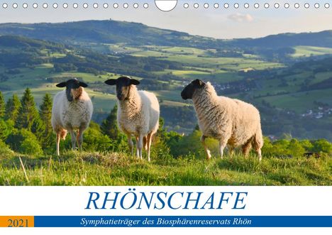 Manfred Hempe: Hempe, M: Rhönschafe - Symphatieträger des Biosphärenreserva, Kalender