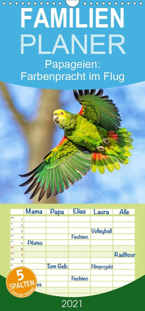 K. A. Calvendo: Calvendo, K: Papageien: Farbenpracht im Flug - Familienplane, Kalender