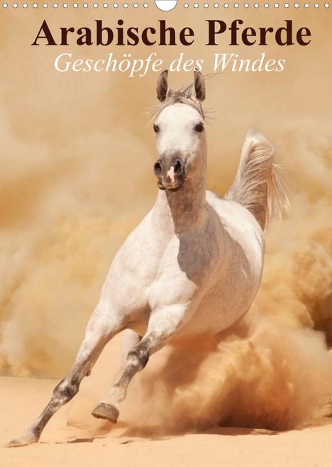 Elisabeth Stanzer: Stanzer, E: Arabische Pferde . Geschöpfe des Windes (Wandkal, Kalender