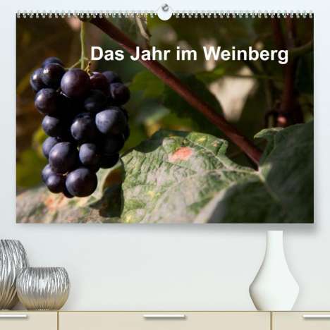 Frank Baumert: Baumert, F: Jahr im Weinberg (Premium, hochwertiger DIN A2 W, Kalender