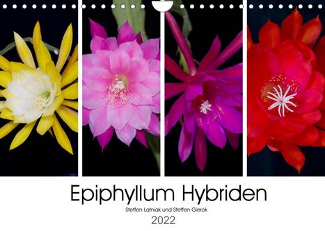 Steffen Gierok: Gierok, S: Epiphyllum-Hybriden (Wandkalender 2022 DIN A4 que, Kalender