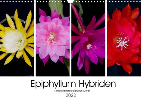 Steffen Gierok: Gierok, S: Epiphyllum-Hybriden (Wandkalender 2022 DIN A3 que, Kalender