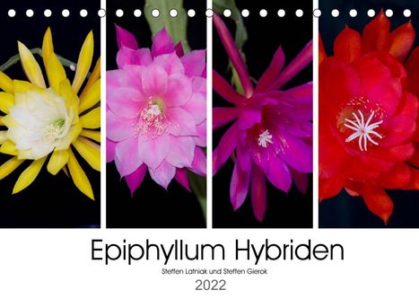 Steffen Gierok: Gierok, S: Epiphyllum-Hybriden (Tischkalender 2022 DIN A5 qu, Kalender