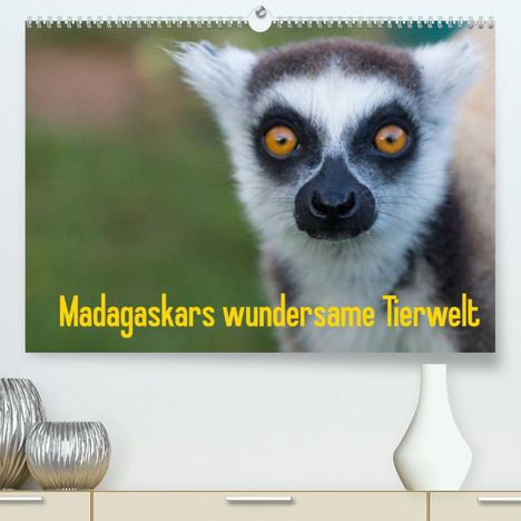 Antje Hopfmann: Hopfmann, A: Madagaskars wundersame Tierwelt (Premium, hochw, Kalender