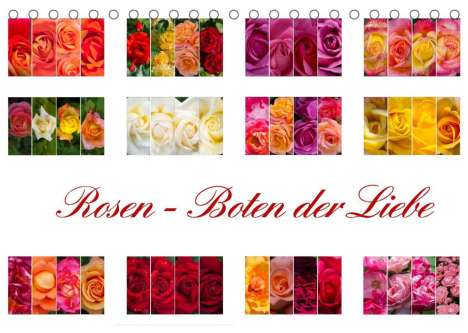 Steffen Gierok: Gierok, S: Rosen - Boten der Liebe (Tischkalender 2022 DIN A, Kalender