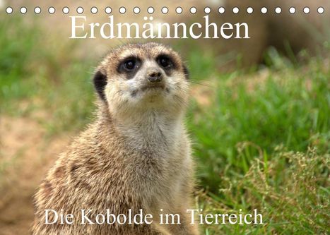 Arno Klatt: Klatt, A: Erdmännchen - Die Kobolde im Tierreich (Tischkalen, Kalender